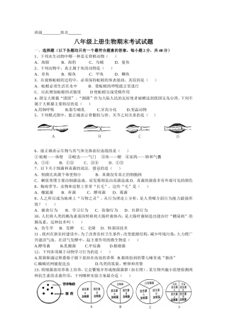 2013新人教版_八年级上册生物期末试卷