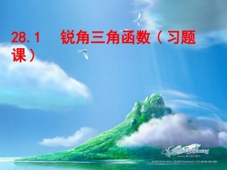 锐角三角函数(习题课)