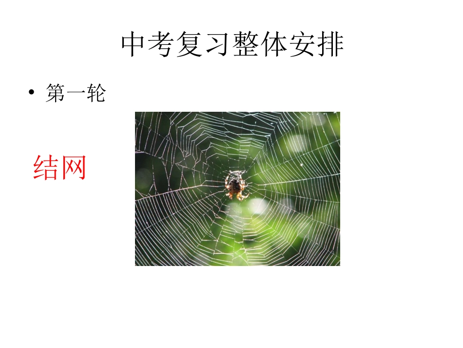 做好一轮复习中的专题复习_第3页