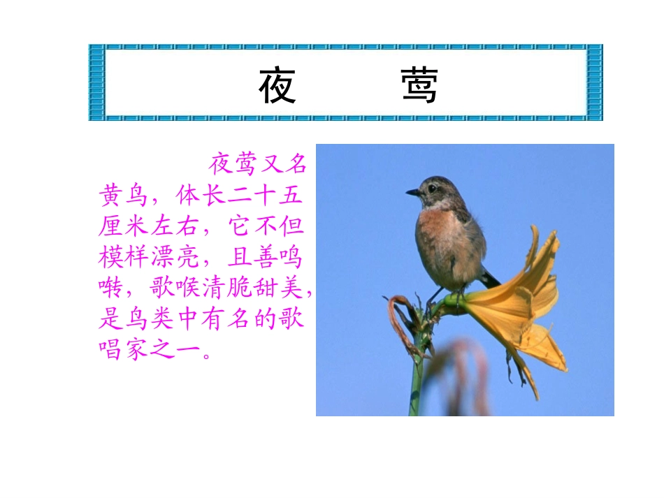 夜莺的歌声修改版_第3页