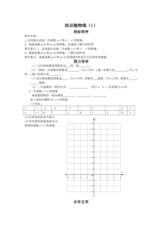 结识抛物线教案