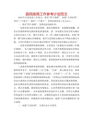 县民政局工作参考计划范文 