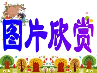 长方形与正方形