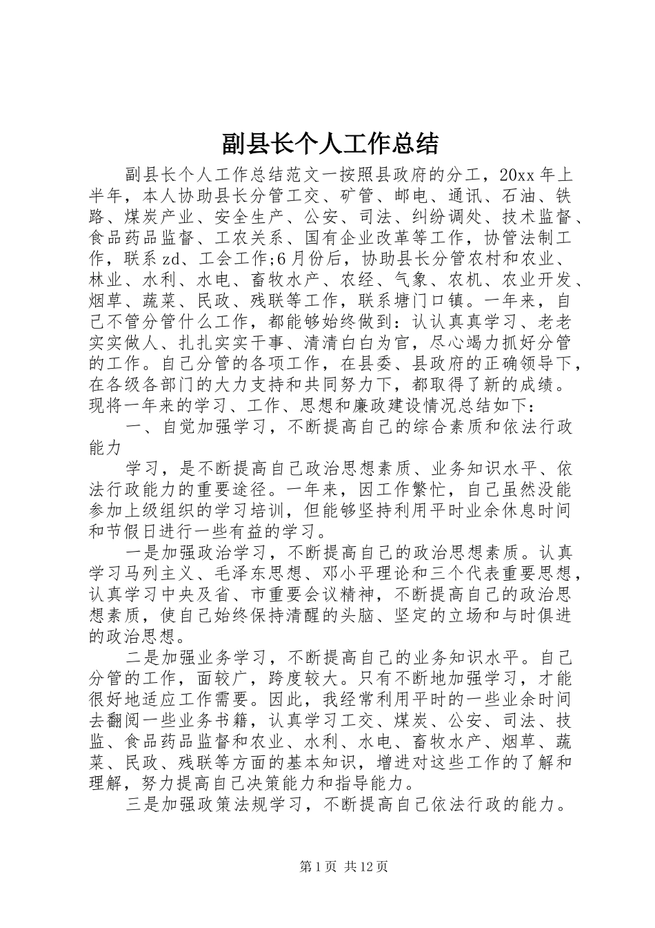 副县长个人工作总结 _第1页