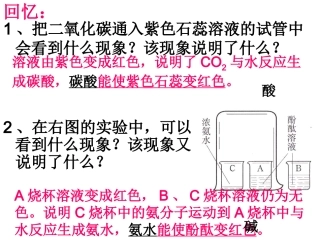 初中三年级化学下册第十单元酸和碱第一课时课件