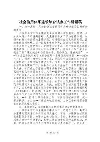 社会信用体系建设综合试点工作讲话发言稿