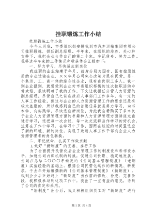 挂职锻炼工作小结 (3)