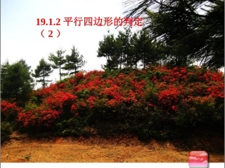 1912平行四边形的判定2