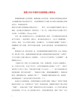观看20XX年猪年央视春晚心得体会 