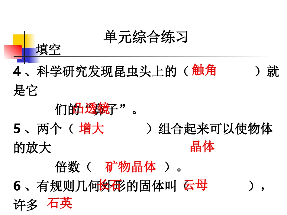 教科版小学科学六年级下册第一单元综合练习PPT课件_第2页