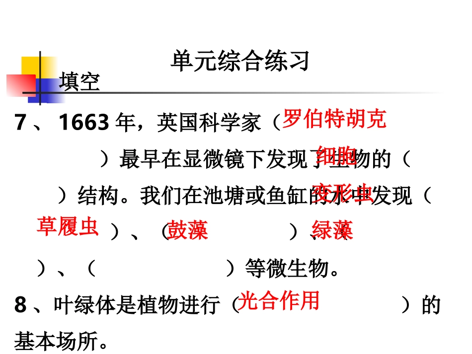 教科版小学科学六年级下册第一单元综合练习PPT课件_第3页