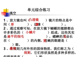 教科版小学科学六年级下册第一单元综合练习PPT课件