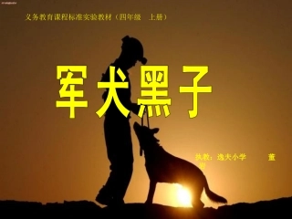 军犬黑子MicrosoftPowerPoint演示文稿