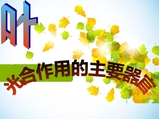 叶是绿色植物进行光合作用的主要器官