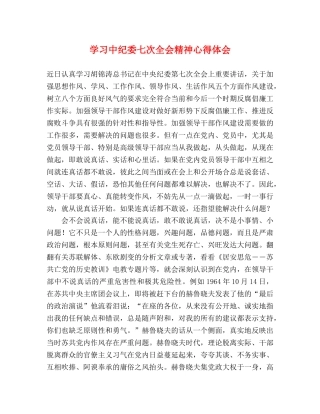 学习中纪委七次全会精神心得体会 (000001)