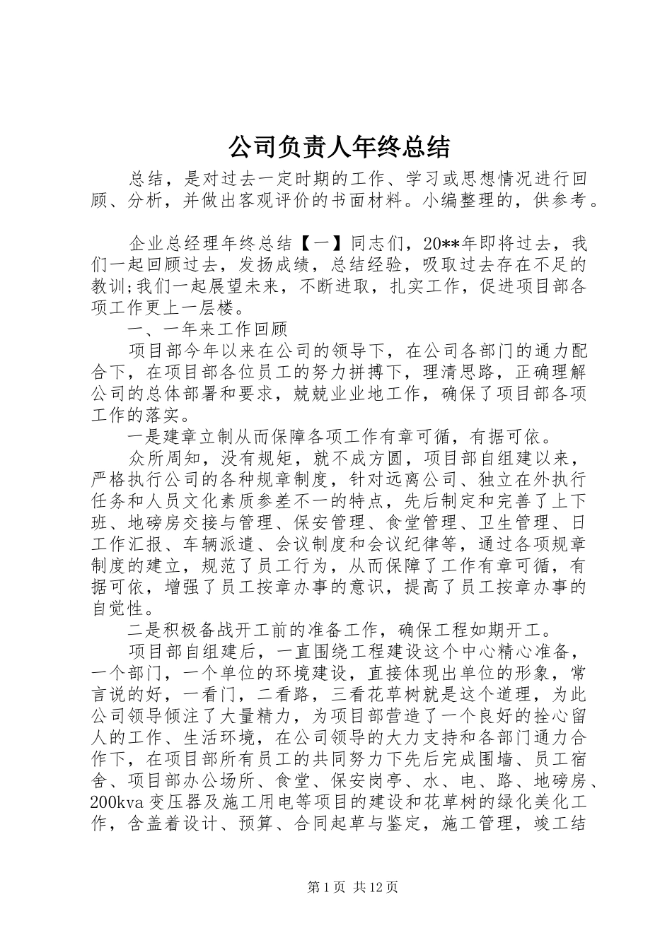 公司负责人年终总结 _第1页