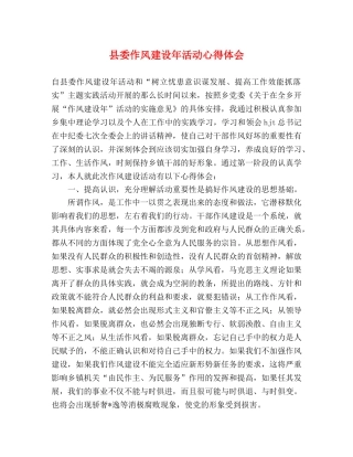 县委作风建设年活动心得体会 