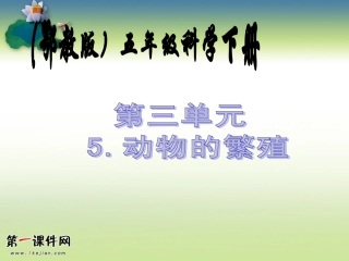 动物的繁殖（鄂教版）五年级科学下册PPT课件