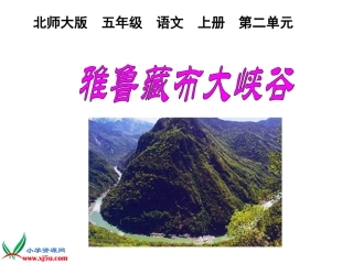 雅鲁藏布大峡谷课件