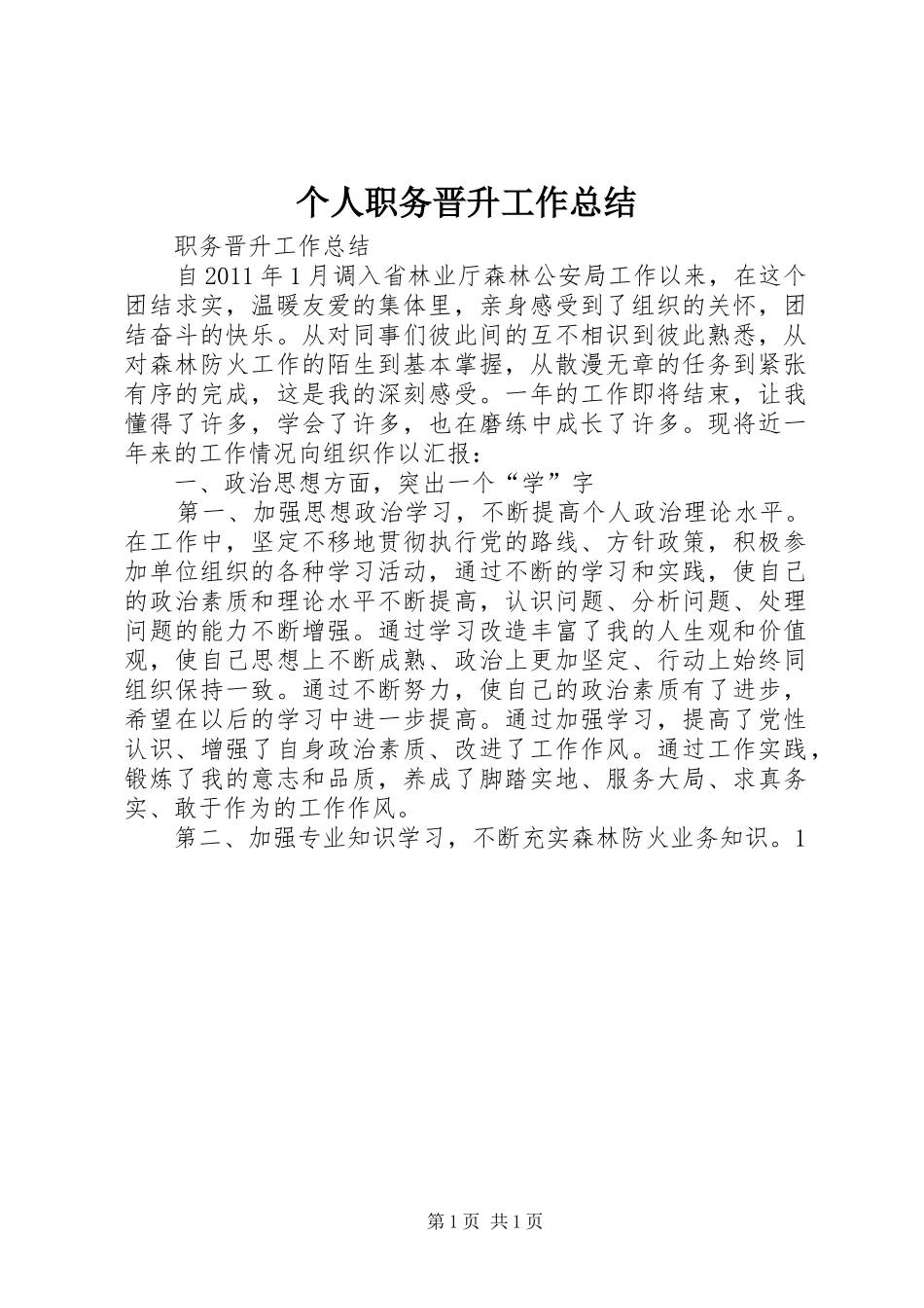 个人职务晋升工作总结 _第1页