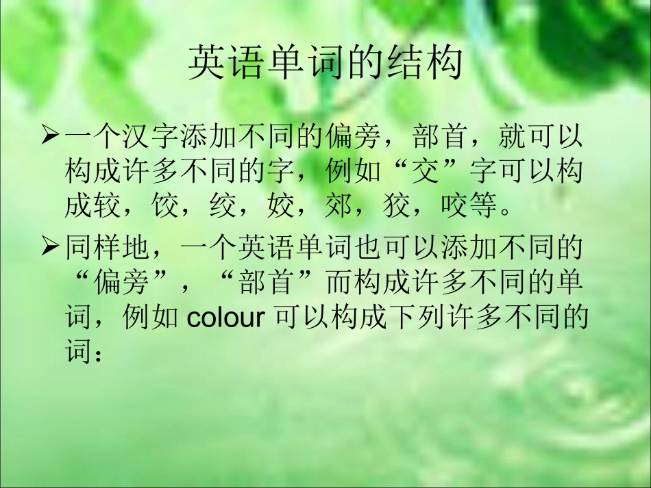 +中考英语专题复习英语单词构词法_第2页