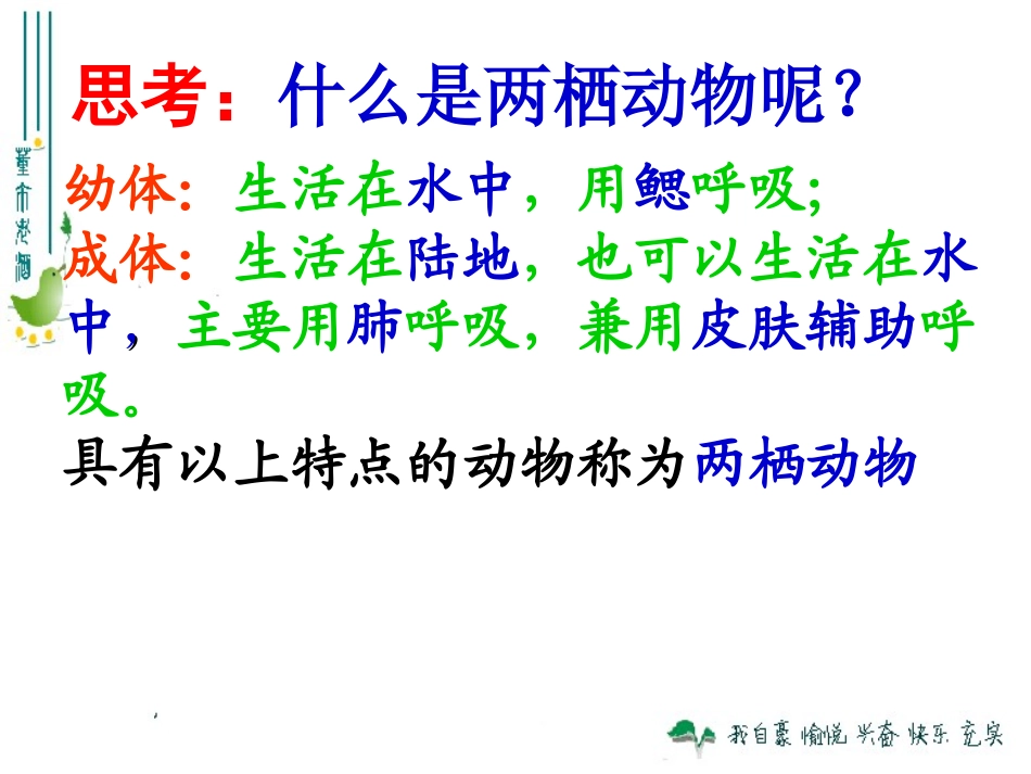 最新_第五节_两栖动物和爬行动物_第2页