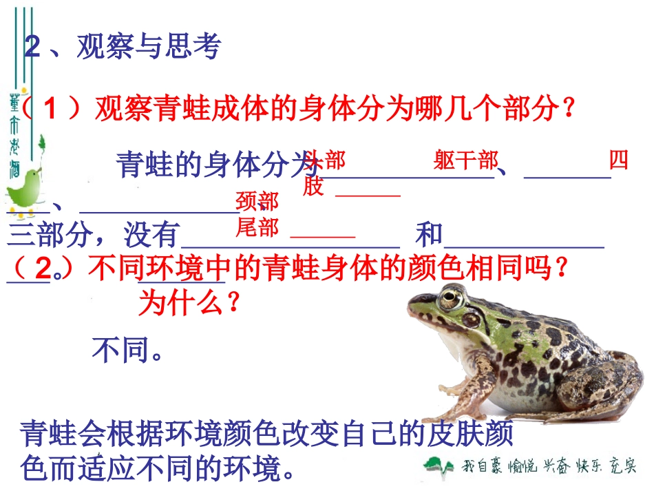 最新_第五节_两栖动物和爬行动物_第3页