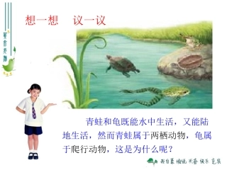 最新_第五节_两栖动物和爬行动物