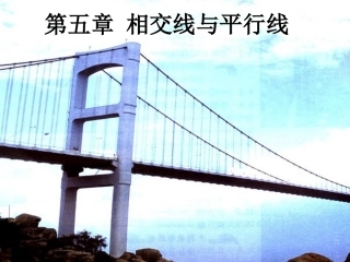 对顶角与邻补角