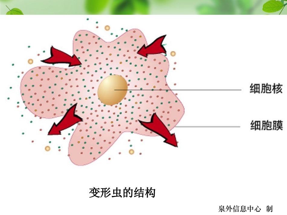 细胞是生命活动的基本单位_第2页