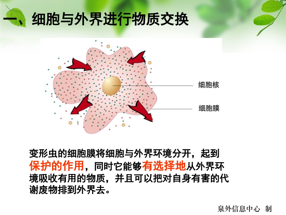 细胞是生命活动的基本单位_第3页