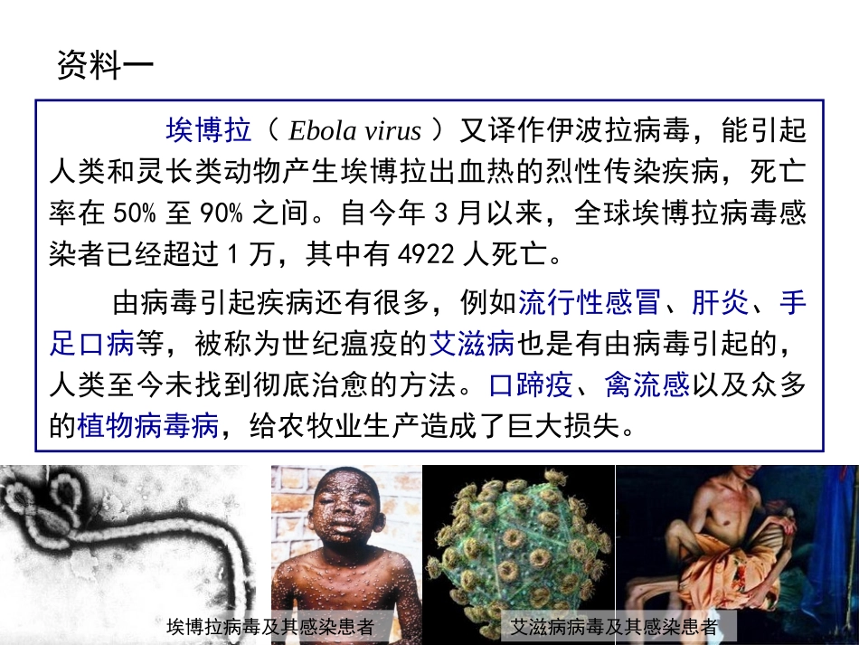 初中生物八年上·第五章病毒_第2页