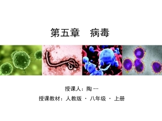 初中生物八年上·第五章病毒