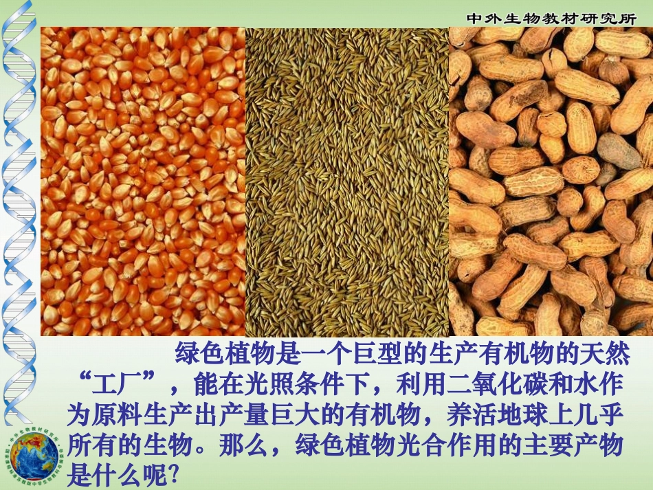 植物光合作用的实质_第2页