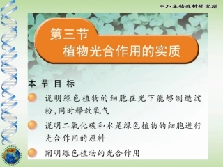 植物光合作用的实质