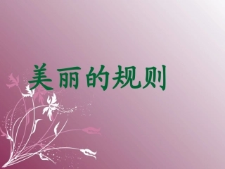 美丽的规则课件