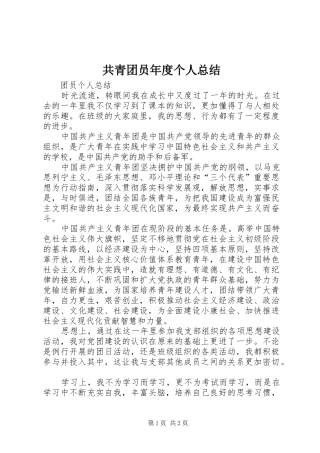 共青团员年度个人总结 