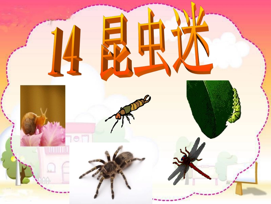 《昆虫迷》课件_第3页