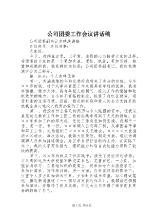 公司团委工作会议的讲话发言稿