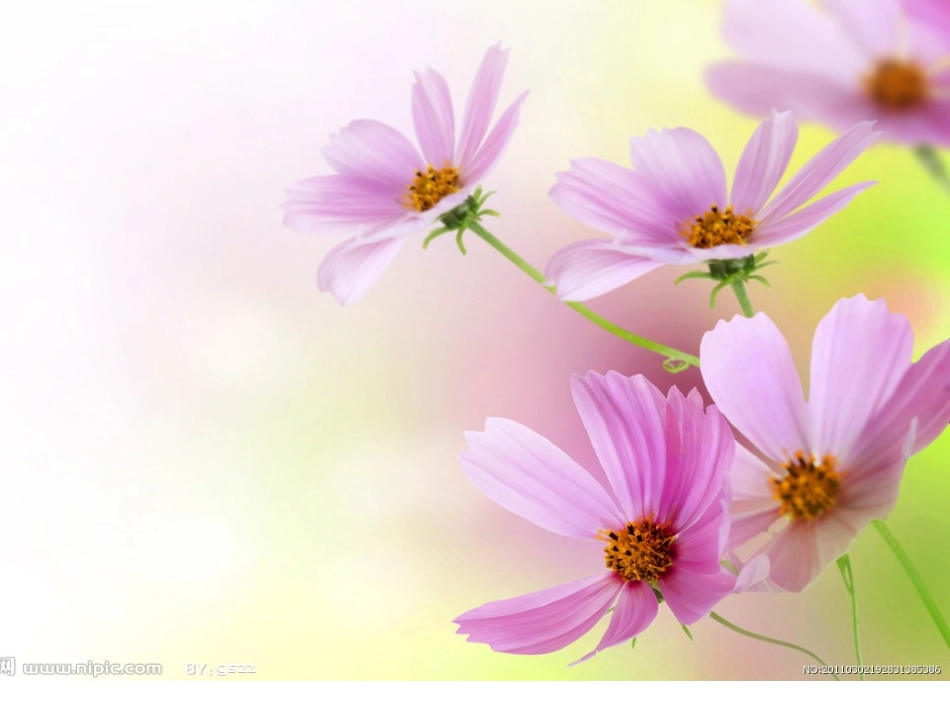 经典唯美的课件背景图片1_第2页