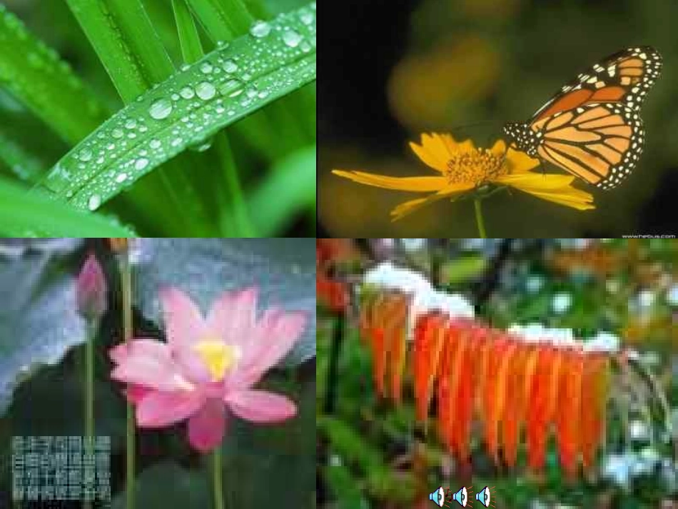 你一定会听见的_第3页