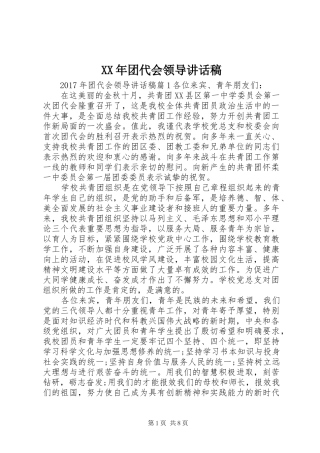 XX年团代会领导的讲话稿