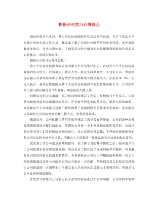 担保公司实习心得体会 