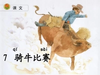 骑牛比赛课件