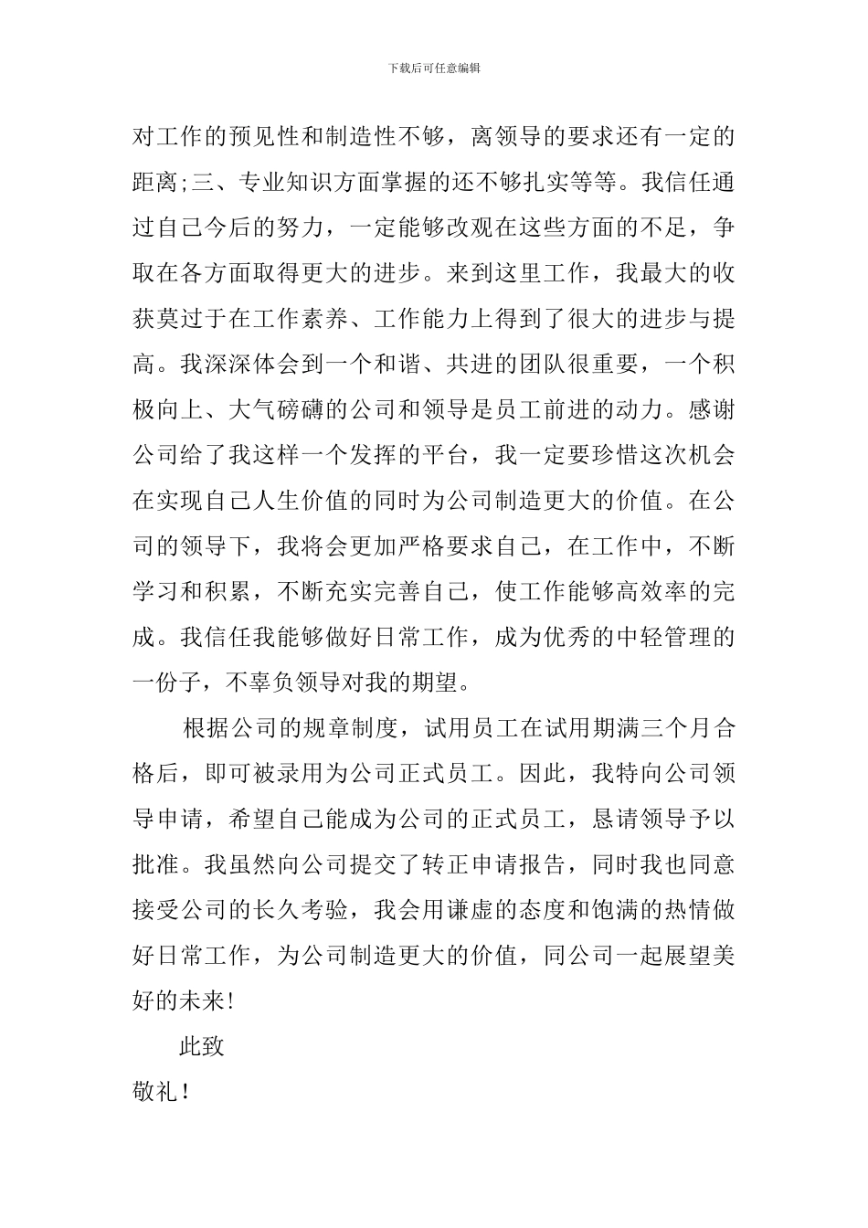 监理员试用期转正的工作总结_第2页