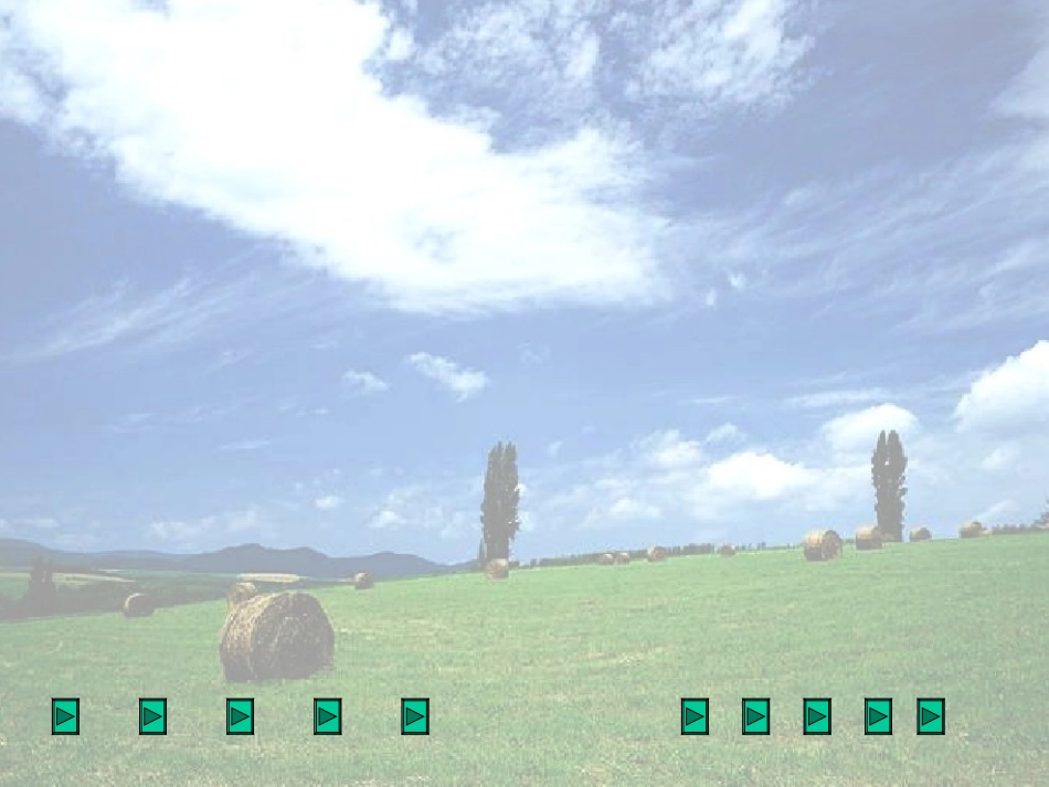 《春天的雨点》课件 (2)_第3页