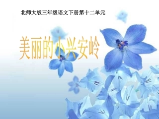 北师大版三年级语文下册《美丽的小兴安岭1》PPT课件