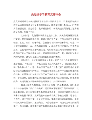先进性学习教育支部体会 
