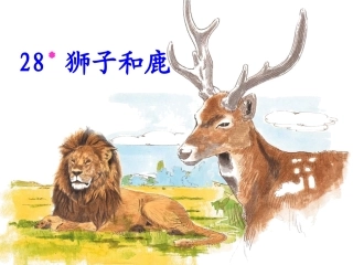 狮子和小鹿课件