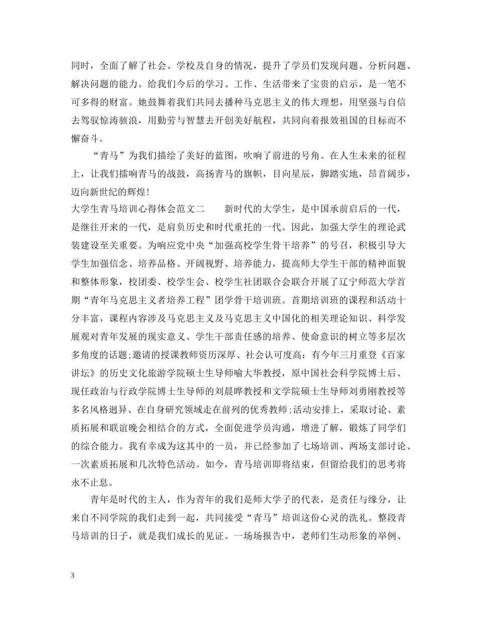 大学生青马培训心得体会 _第3页